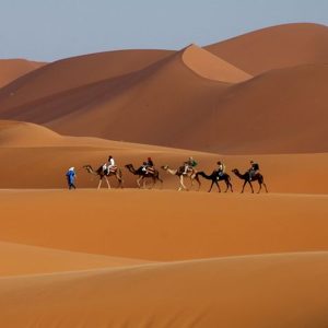 dunes