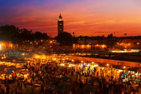 Visite guidée d&rsquo;une demi-journée de la ville de Marrakech